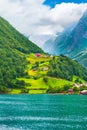 Norway village and fjord landscape Royalty Free Stock Photo