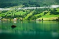 Norwegian village near fjord Royalty Free Stock Photo