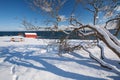 Norwegian winter fjord landscape with tree Royalty Free Stock Photo