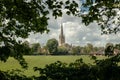 Norwich cathedral framed by tree branches