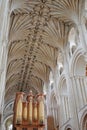 NORWICH, UK - JUNE 5, 2017: The vaulted Nave roof of The Cathedral and the Organ