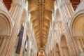 Wide-Angle view of the Nave of The Cathedral and the vaulted roof Royalty Free Stock Photo