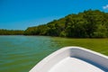 The nose of the boat. Dry mangrove trees. Rio Lagartos, Yucatan, Mexico Royalty Free Stock Photo