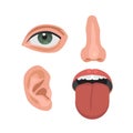 Nose, ear, eye, throat or mouth -parts of a human face. ENT doctor, otolaryngologist and optometrist. Educational anatomy. Flat