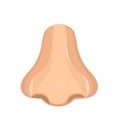 Nose icon is a flat style. The sense of smelling, medicine concept. Smell. Vector illustration.