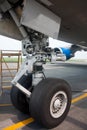 Nose landing gear of big wide body plane