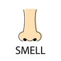 Nose smell icons. Human smelling and breathe nose senses isolated on white background.