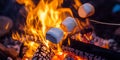 Nostalgic Beach Bonfire Storytelling with Marshmallows for a Cozy Night Under the Stars Royalty Free Stock Photo