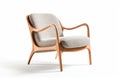 Nostalgic Comfort: Retro-Inspired Lounge Chair with Curved Plywood Frame on White Background