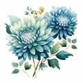 Nostalgic Illustration Of Blue Dahlia Flowers On White Background Royalty Free Stock Photo