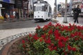 Nostalgic tram and red flowers at Istanbul Kadikoy