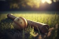 A nostalgic vintage baseball bat in a morning autumn field, surrounded by lush green grass and sunlight. Ai generated