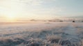 Nostalgic Winter Sunrise: Frost Covered Field In Rural Usa