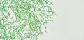Nostoc sp. blue-green algae under microscopic view, cyanobacteria