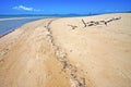 nosy be beach seaweed in indian sky and