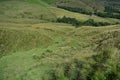 Path leading down to Whitemoor Clough Royalty Free Stock Photo