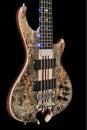 LED Lights on the Side of a Buckeye Burl Wood Five String Electric Bass Guitar