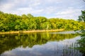 In the forest flows the small and picturesque river Orel. Royalty Free Stock Photo