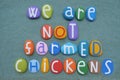 We are not farmed chickens, social issue slogan composed with multi colored stone letters