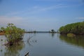 Coastal mangrove forests and near residents` villages