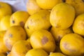 Not fresh / Unfresh rotten lemon fruit Royalty Free Stock Photo