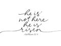 He is not here He is Risen simple line calligraphy