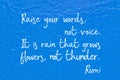 Not voice Rumi