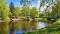 Not wide shallow river on the banks of trees with young fresh leaves in spring