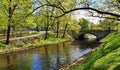 Not wide shallow river on the banks of trees with young fresh leaves in spring