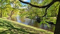 Not wide shallow river on the banks of trees with young fresh leaves in spring