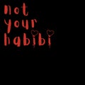 not your habibi, The perfect gift for anyone who loves to laugh Royalty Free Stock Photo