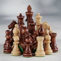 Notable pieces include kings queens bishops knights rooks and pawns Royalty Free Stock Photo