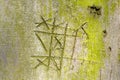 Notched beech tree bark with the game noughts and crosses. Royalty Free Stock Photo