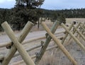 Notched posts on buckfence. Royalty Free Stock Photo