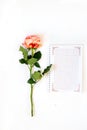 Daily note-book of love and pink rose on a white paper background. for valentine`s day Royalty Free Stock Photo