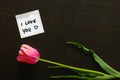 Note `i love you` with a heart and a tulip Royalty Free Stock Photo