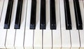 Note octave on ivory piano, horizontal