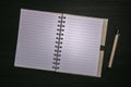 Note pad with blank paper pages. Royalty Free Stock Photo