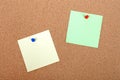 Note paper attched to corkboard. Royalty Free Stock Photo