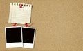 Note paper and instant photos on Cork board Royalty Free Stock Photo