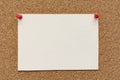 Note paper swith push pins on cork board. Empty paper pages for notes copy space Royalty Free Stock Photo