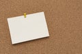 Note paper swith push pins on cork board. Empty paper pages for notes copy space Royalty Free Stock Photo