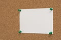 Note paper swith push pins on cork board. Empty paper pages for notes copy space