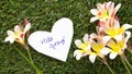 Note in shape of heart with words Hello Spring!, with flowers .