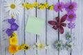 A note on a wooden surface framed by flowers 4 Royalty Free Stock Photo