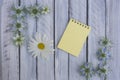 A note on a wooden surface framed by flowers 7 Royalty Free Stock Photo