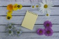 A note on a wooden surface framed by summer flowers 3 Royalty Free Stock Photo