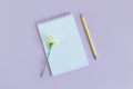 Notebook with blank page and Carnation flower on a violet pastel background Royalty Free Stock Photo