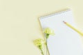 Notebook with blank page, pencil and Carnation flower on a yellow pastel background Royalty Free Stock Photo