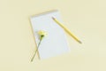 Notebook with blank page, pencil and Carnation flower on a yellow pastel background Royalty Free Stock Photo